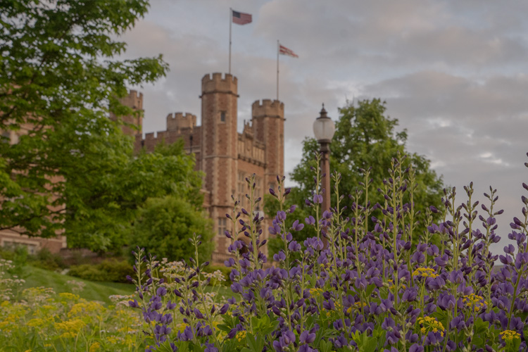 View of Brookings through flowers on campus